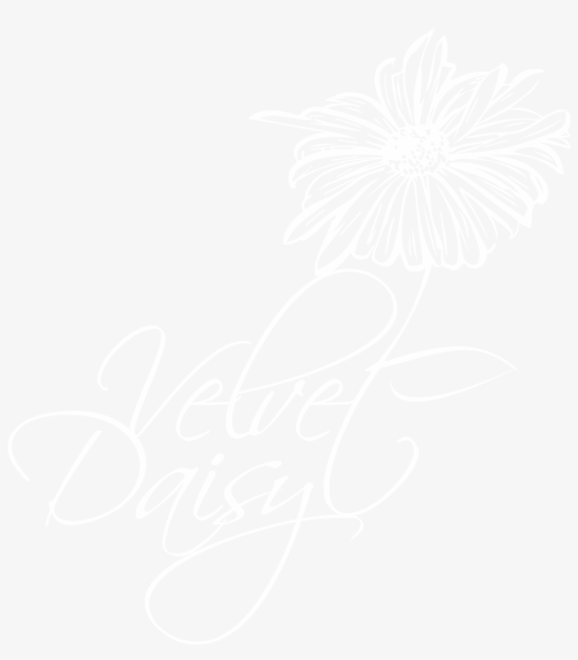 Velvet Daisy - Close Icon Png White, transparent png