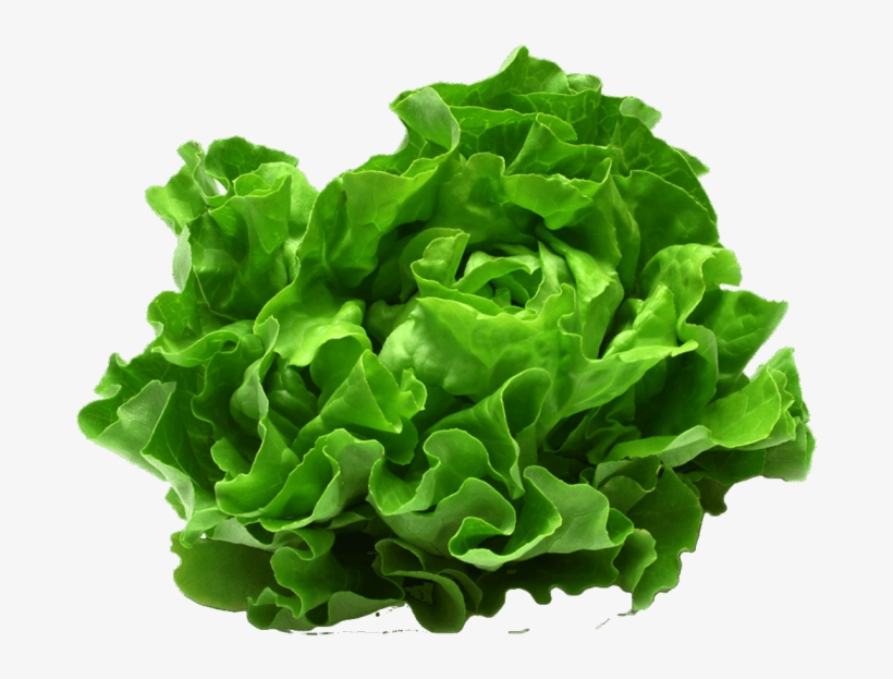 Meals - Vegetable Cruelty, transparent png