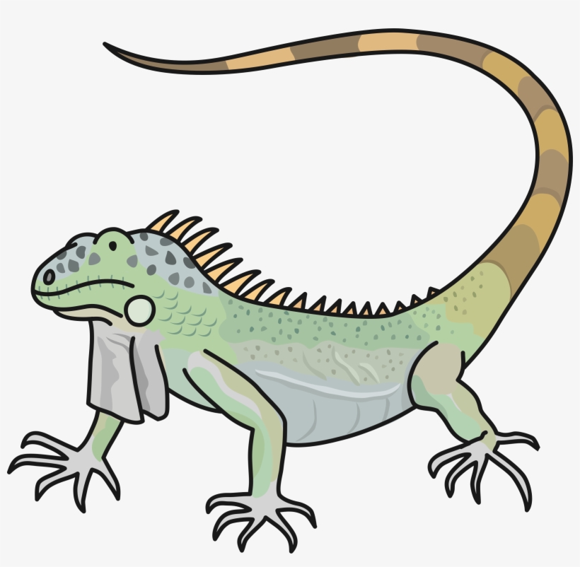Big Image - Marine Iguana Cartoon, transparent png
