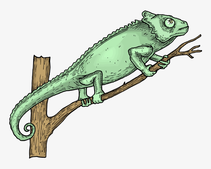 Horned Lizard Png Picture - Insectivores, transparent png