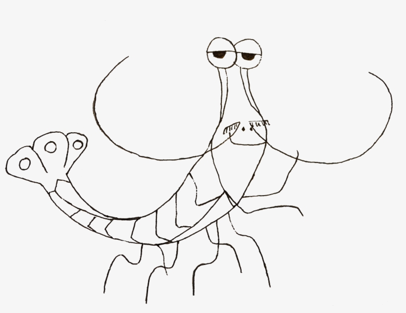 Drawn Fishing Nemo - Line Art, transparent png