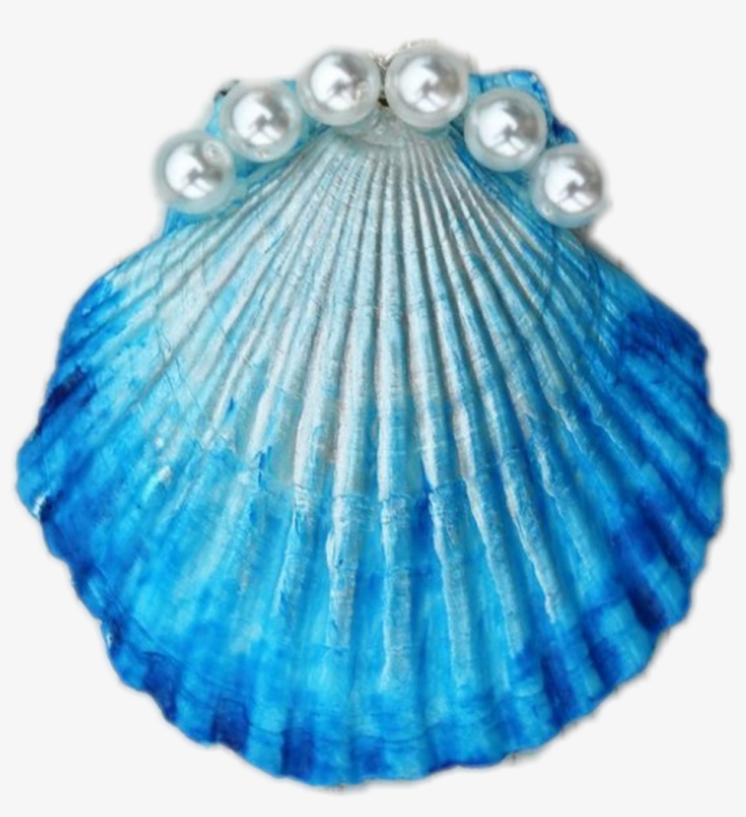 #shell #pretty #cute #cuteness #freetoedit - Muschel Kette Selber Machen, transparent png