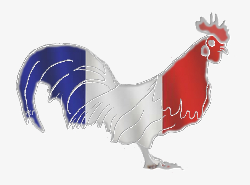 France-gallic Rooster Photo Francegallicrooster - Rooster, transparent png