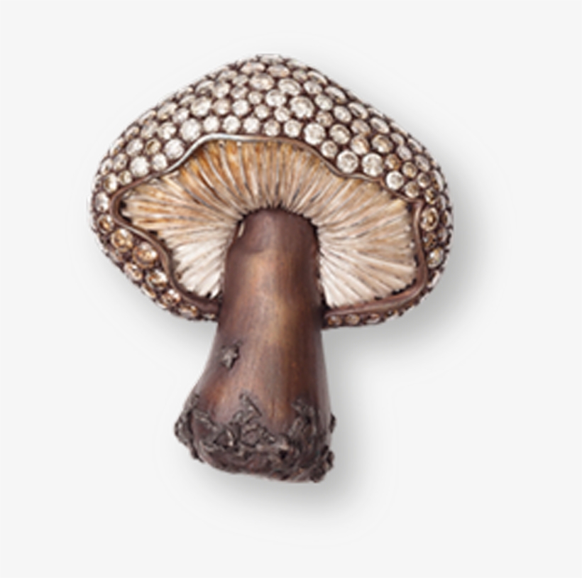 Pleurotus Eryngii, transparent png