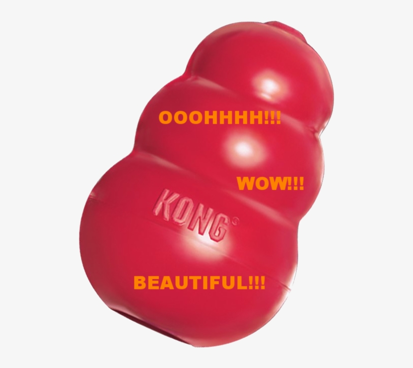 The Kong Company Has Not Paid Me For This Glowing Recommendation - Plastic, transparent png