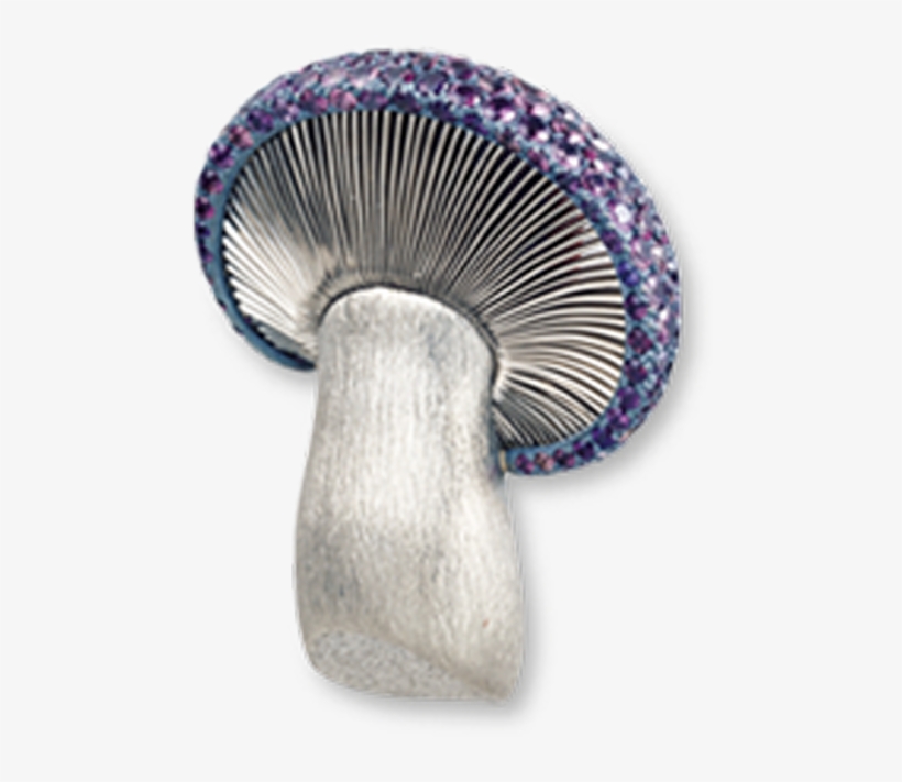 Russula Integra, transparent png
