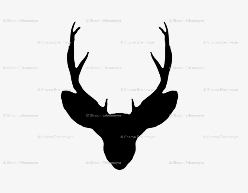 Deer, transparent png