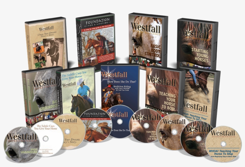 Img Shop-dvd - Cd, transparent png