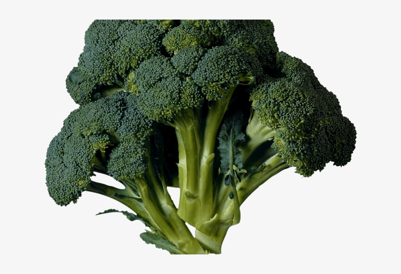 Kale Clipart Transparent - Vegetables Grown In Spring Season - 640x480