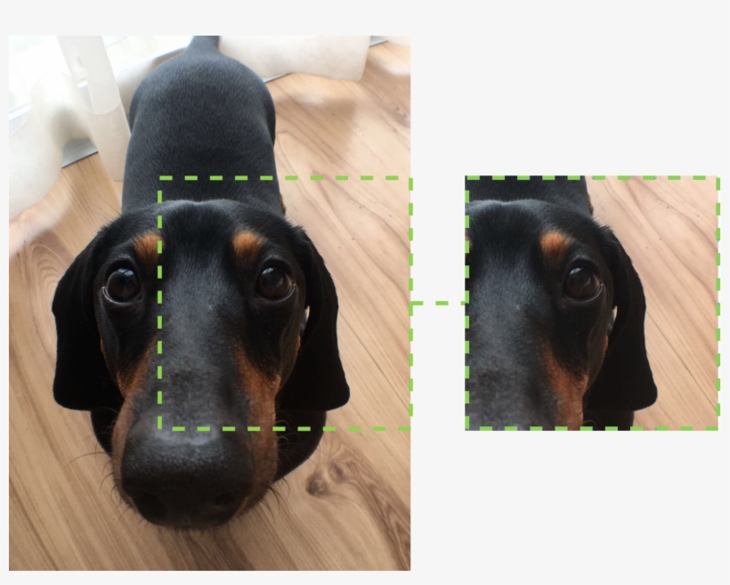 1592px Gst Ptzr Bart - Dachshund, transparent png