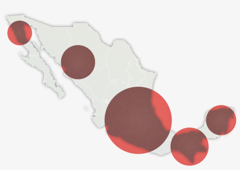 Www - Kmexico - Com - Mx - Cartoon, transparent png