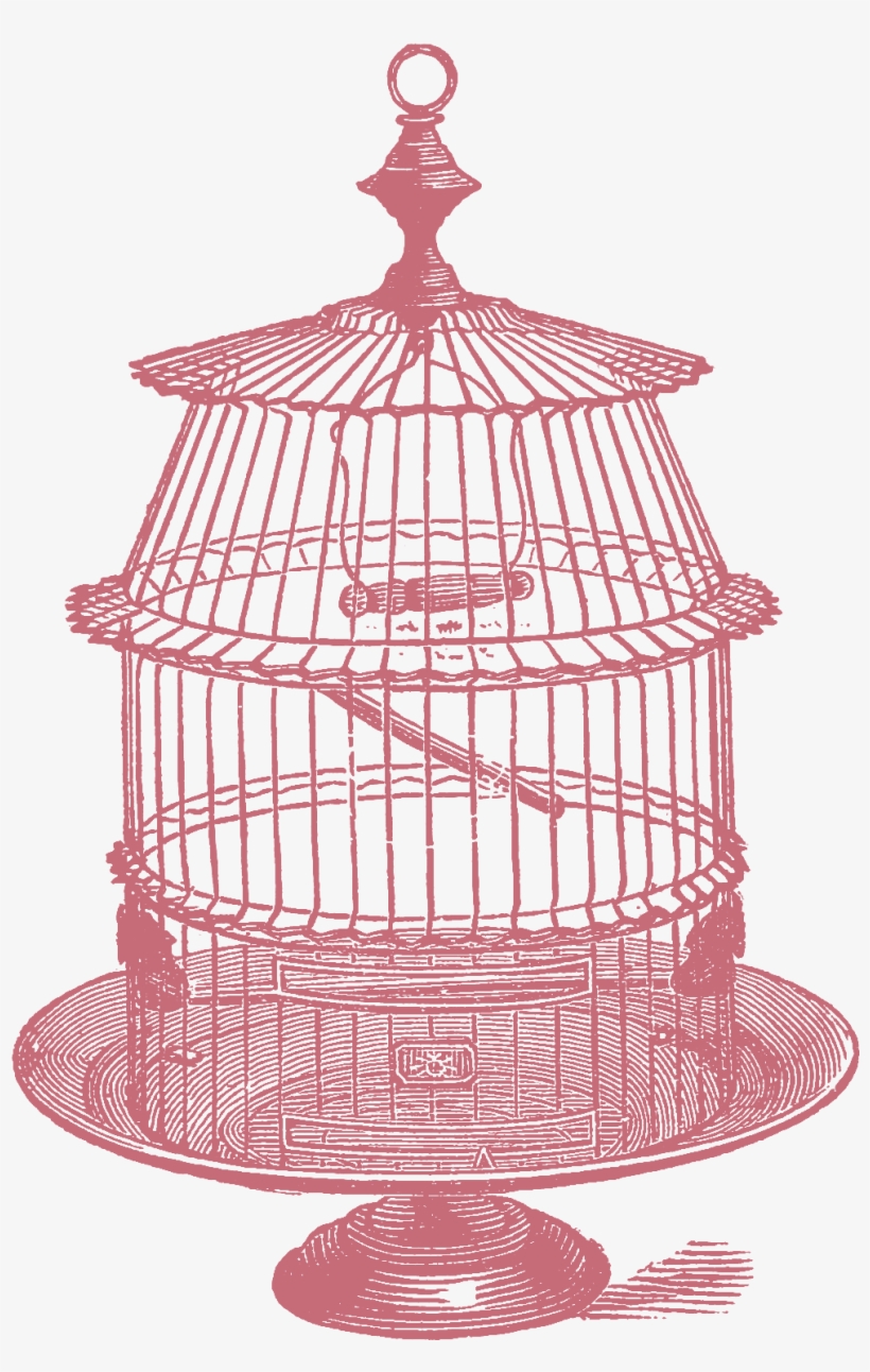 Jpeg - Cage, transparent png