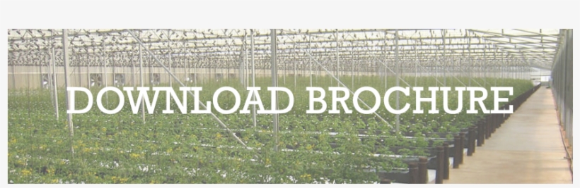 13 Greenhouse - Revell, transparent png