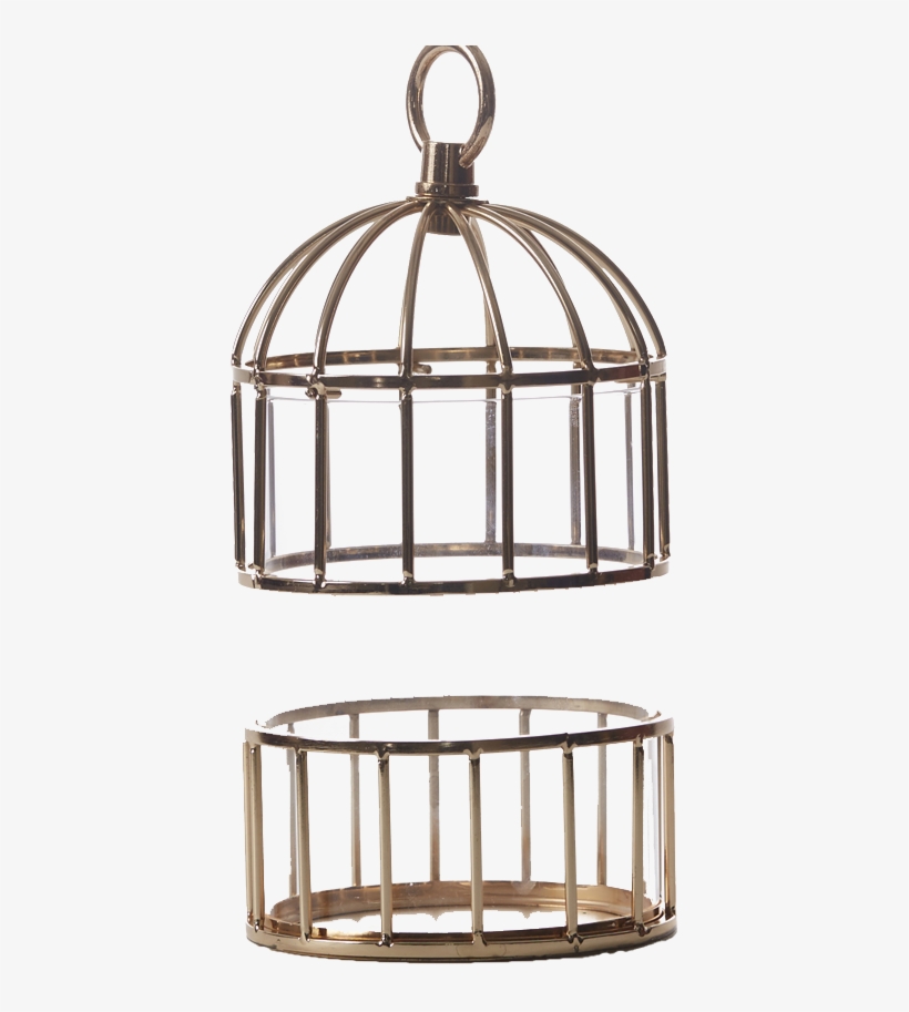 Cage, transparent png