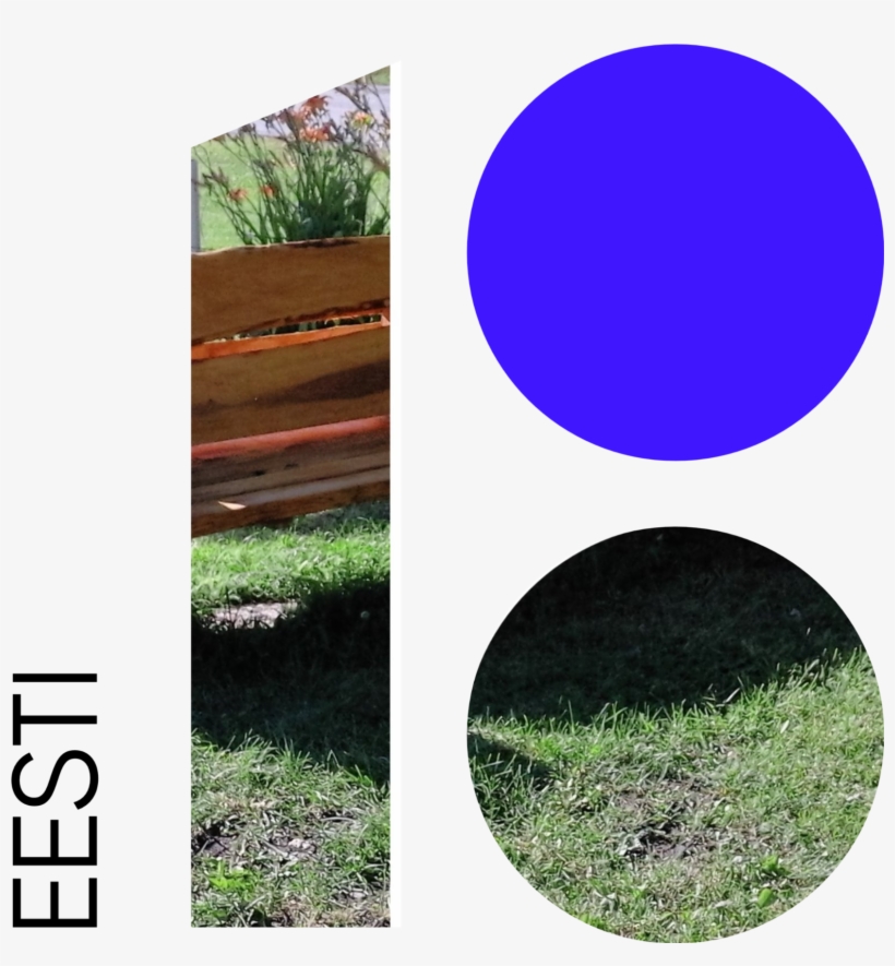 Download - Lawn, transparent png