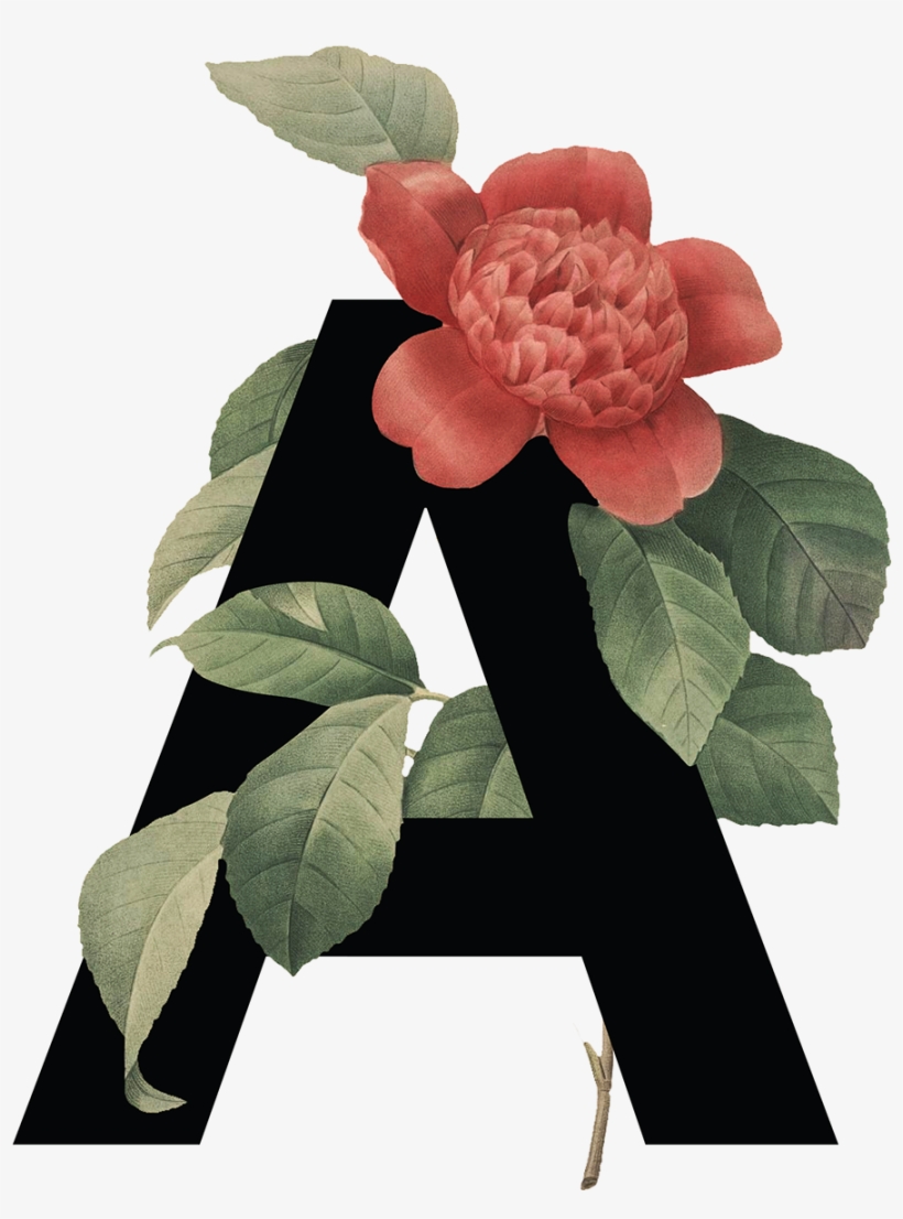 Save To Collection - Floral Alphabet Png, transparent png