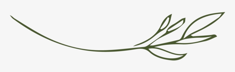 The Fresh Bloom Twig-moss, transparent png