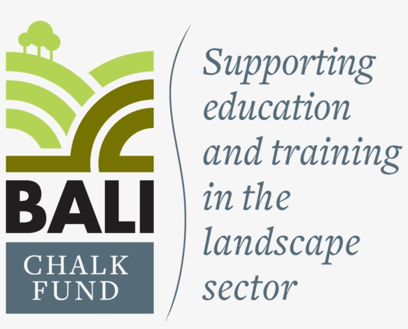 Bali Chalk Web - Poster, transparent png