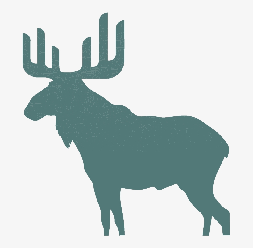 Moose Engineers Building Mep, Commissioning, It/security - Clip Art, transparent png