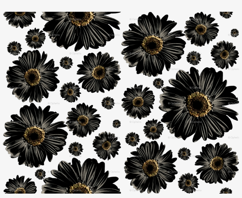 Black Daisies, transparent png
