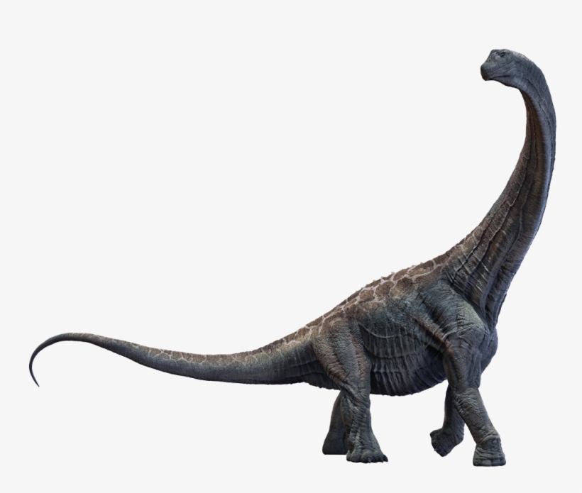 Lone Pterodactyl - Extinct Animals White Background, transparent png