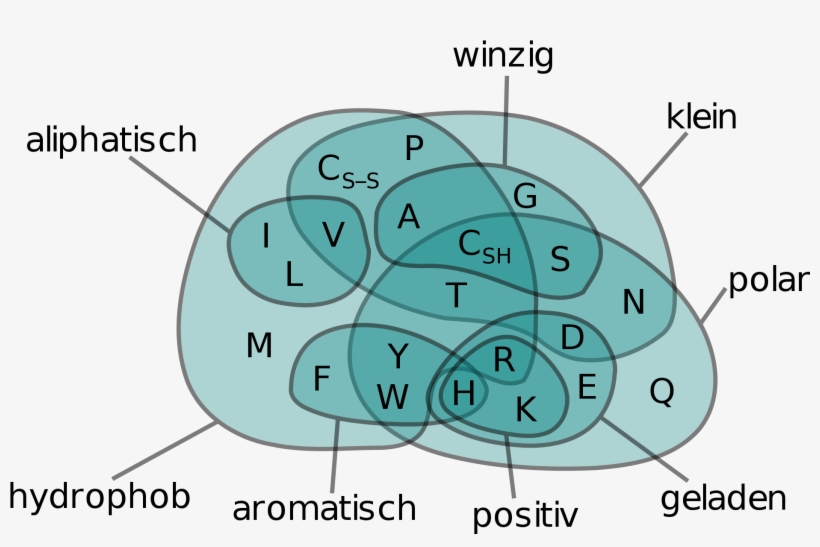 Datei Amino Acids Venn Diagram De Svg Wikipedia - Venn Diagram, transparent png