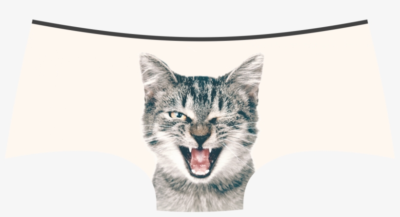 Lickstarter Pussycat Panties / Panty Store - Cat Yawns, transparent png