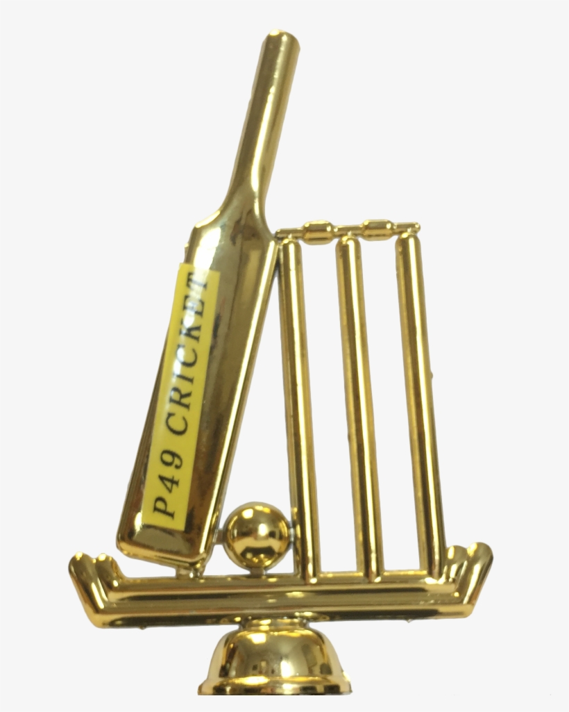 P49 Cricket - Cricket, transparent png