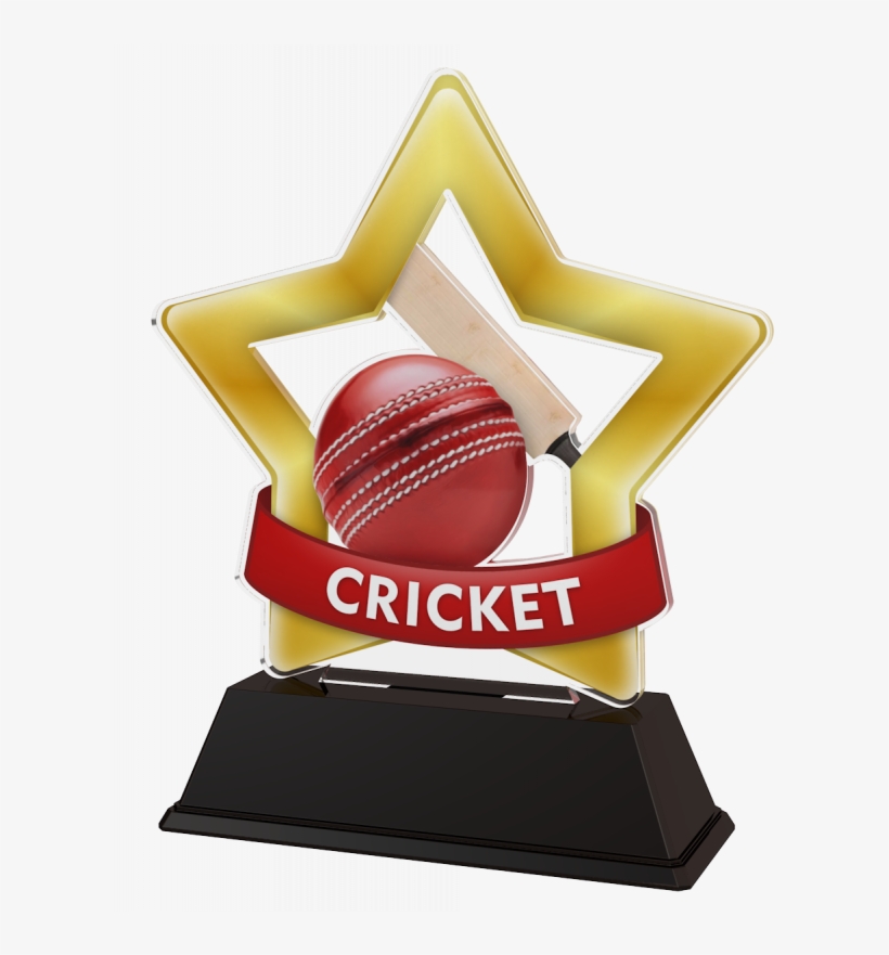 Mini Star Cricket Trophy - Well Done Trophy Gold, transparent png