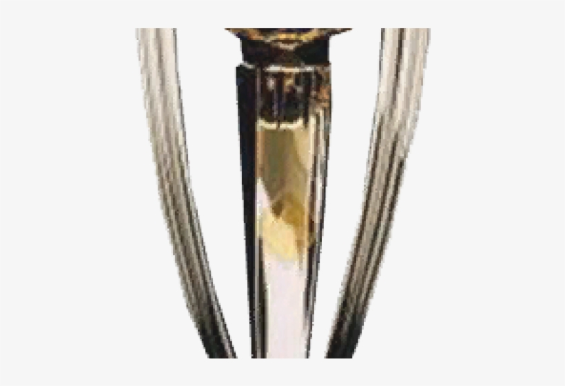 Award Clipart Cricket Trophy - Cricket World Cup Png, transparent png