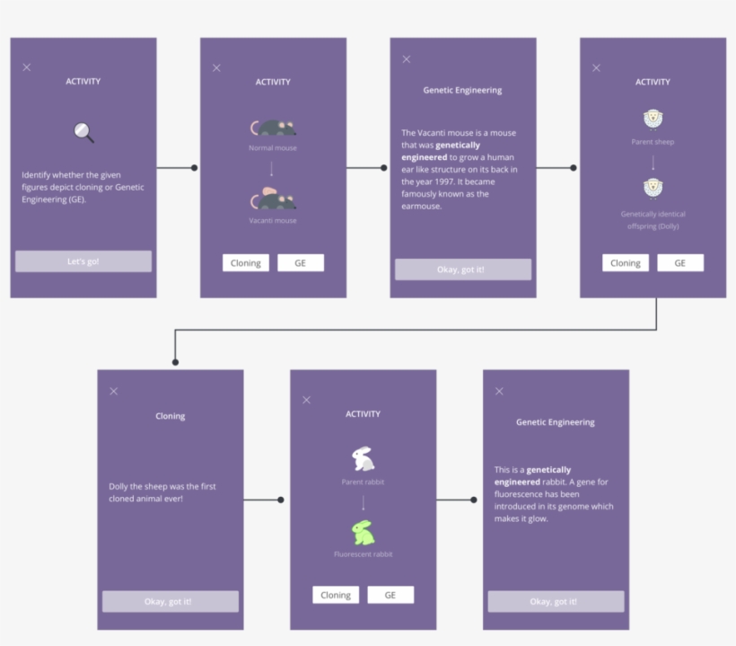 Activity Example - Brochure, transparent png