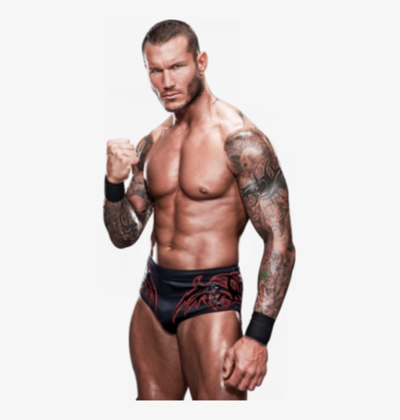 Download Randy Orton Png Imag - Randy Orton With White Background, transparent png