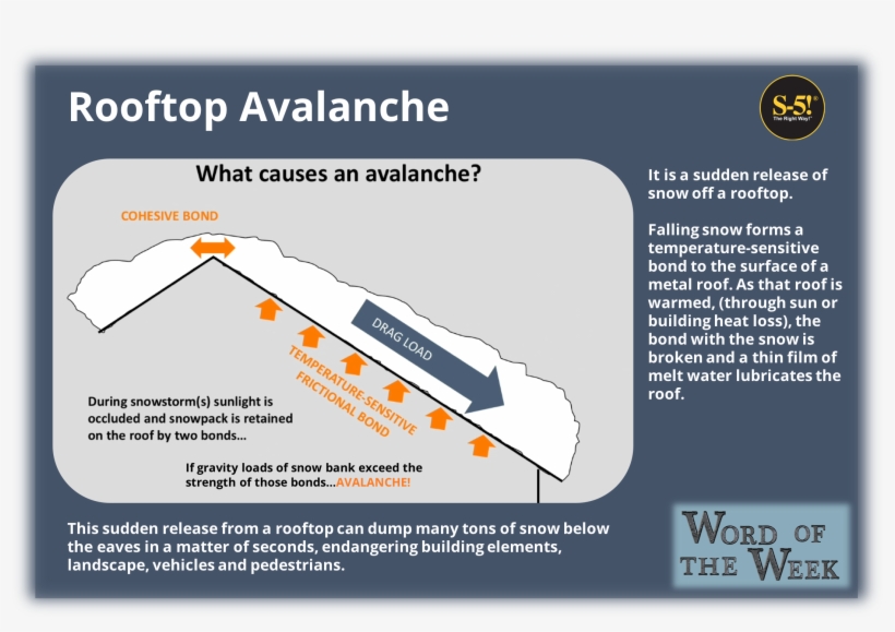 Word Of The Week - Diagram, transparent png