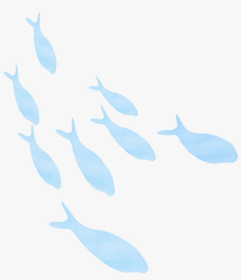 Illustrations Of Animals, Plants, Trees, And Flowers - Whale, transparent png