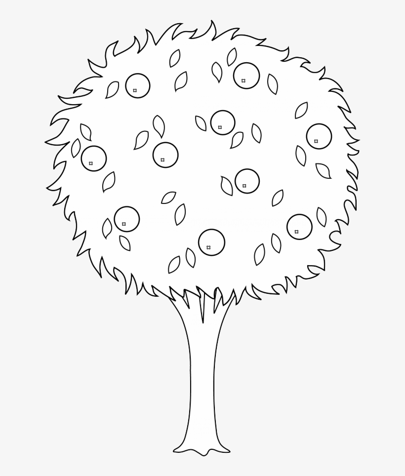 Orange Tree Line Art Free Clip Art 166224 Oranges Coloring - Colouring Of Orange Tree, transparent png