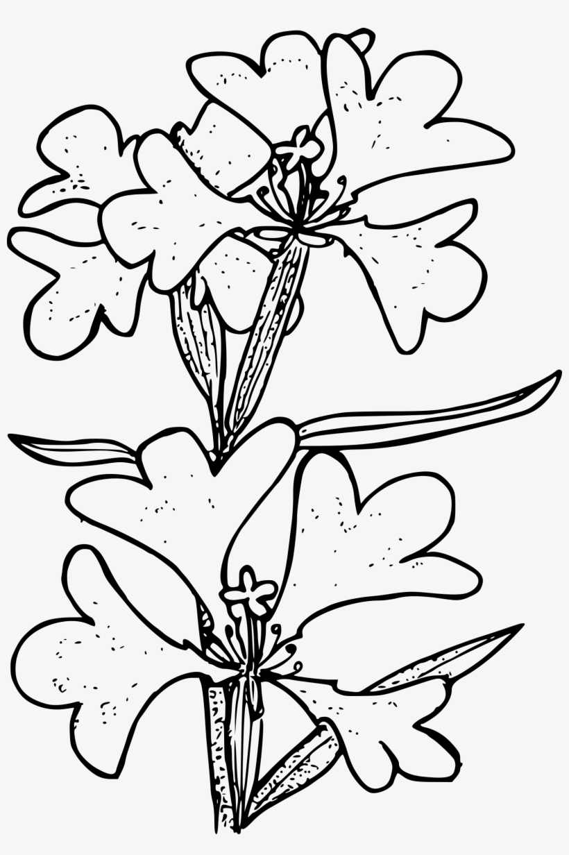 This Free Icons Png Design Of Ragged Robin, transparent png