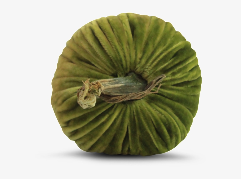 Chartreuse Pumpkins - Kiwifruit, transparent png