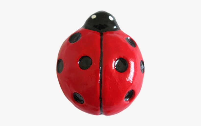 Enlarge Image - Ladybug, transparent png