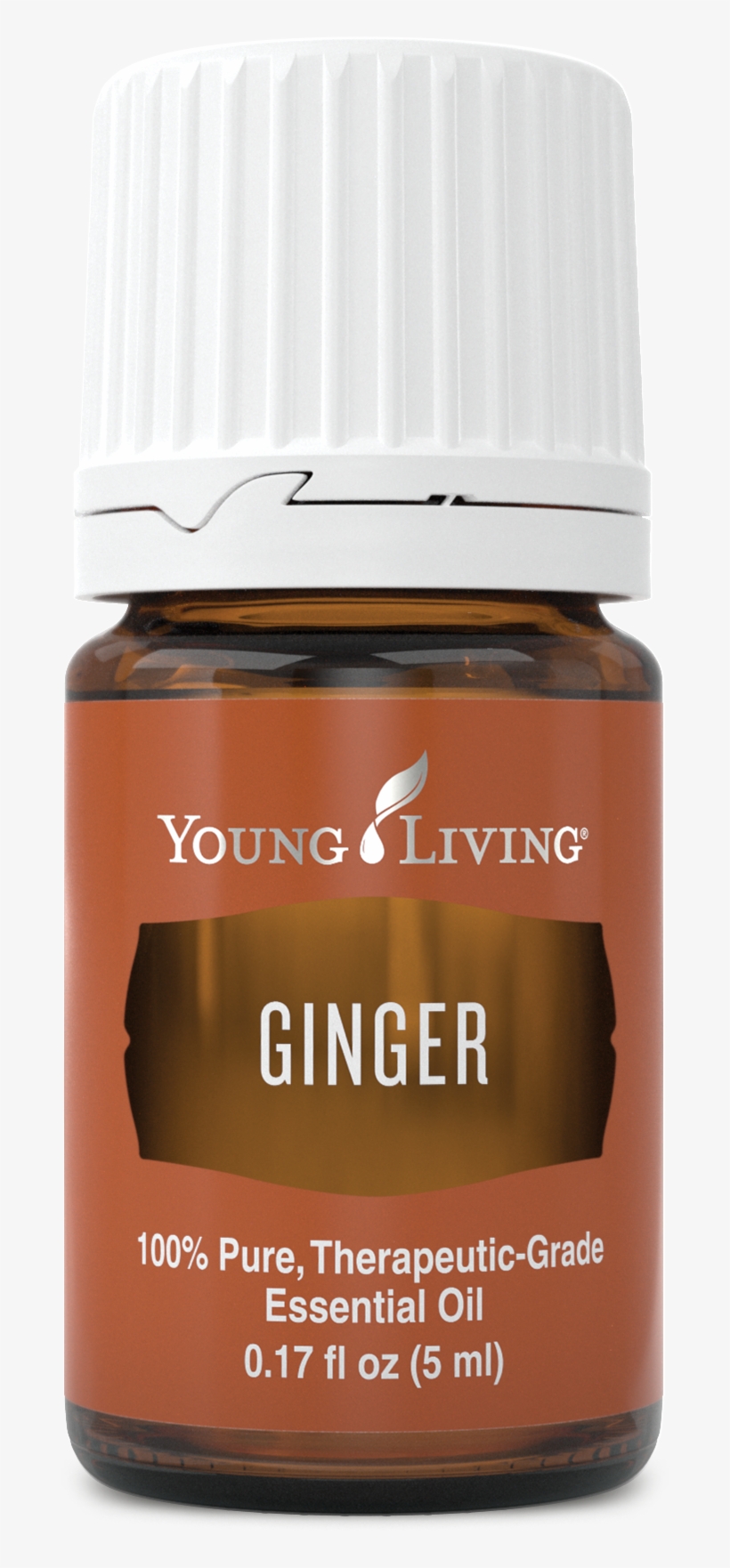 Ginger - Ginger Young Living Png, transparent png