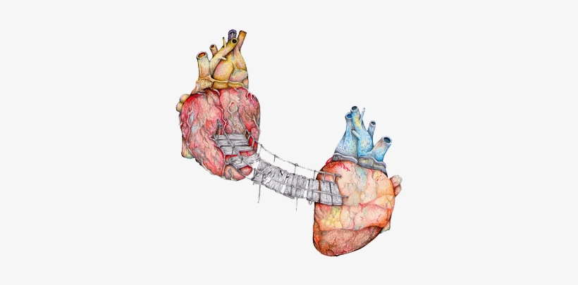 Feel The Sun On Your Face Your Heart, Heart Real, Artsy, - Anatomy Art Two Hearts, transparent png