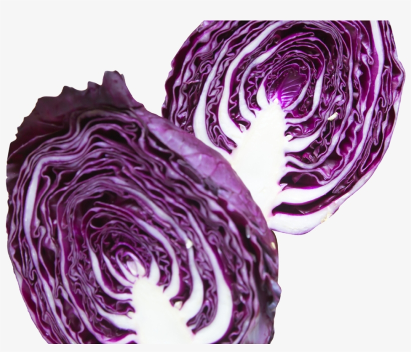 Napa Cabbage Purple Png Image - Purple Cabbage Cabbage Png, transparent png