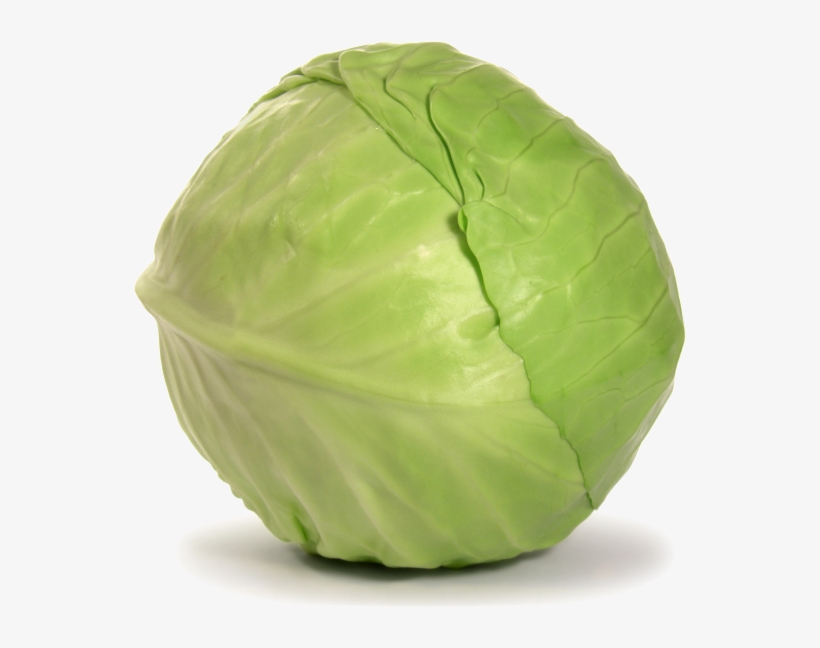 Cabbage Png Download Image - Green Cabbage, transparent png