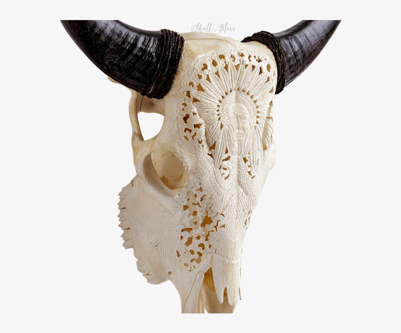 Carved Cow Skull // Xl Horns - Horn, transparent png