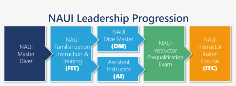 Upon Completion Of The Naui Fit Program, Each Participant - Parallel, transparent png