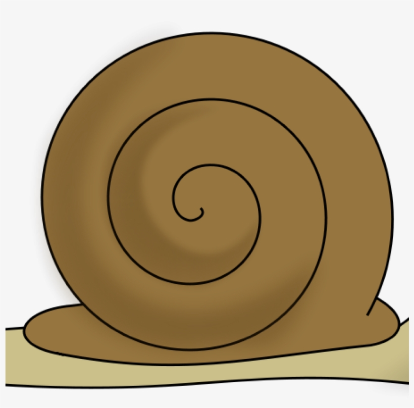 Clipart Snail Free Clipart Snail Escargot Decroissance - Snail, transparent png