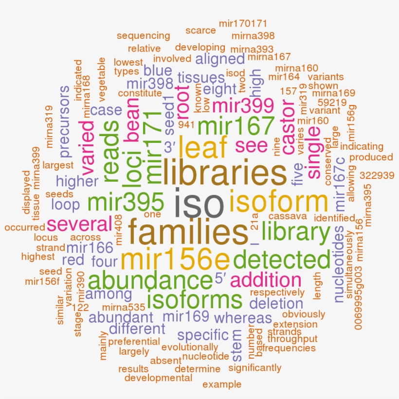 Stem Loop Sequence Rco Mir156a - Non Renewable Energy Word, transparent png