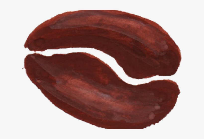 Vegetable, transparent png