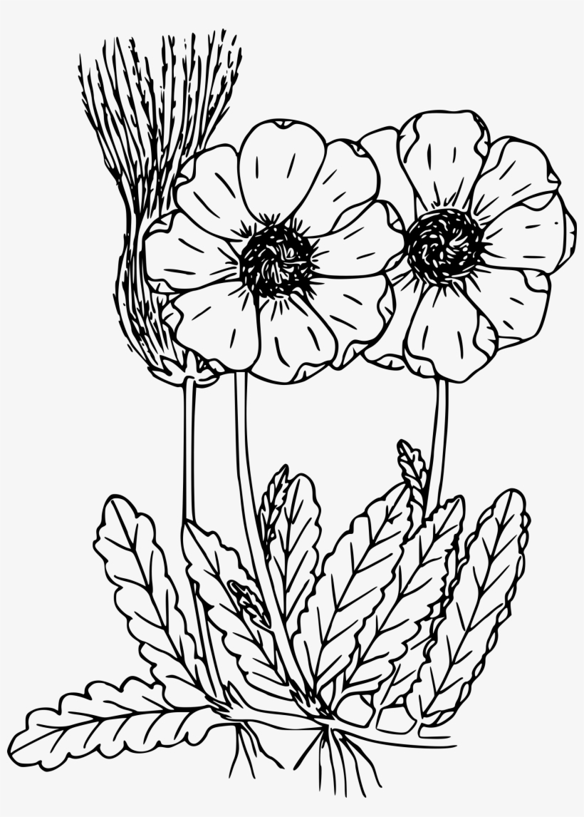 This Free Icons Png Design Of Mountain Dryad, transparent png