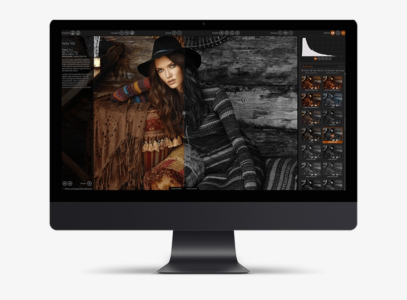 Analog Film Or Designer, Color Or Black & White, With - Fashion, transparent png