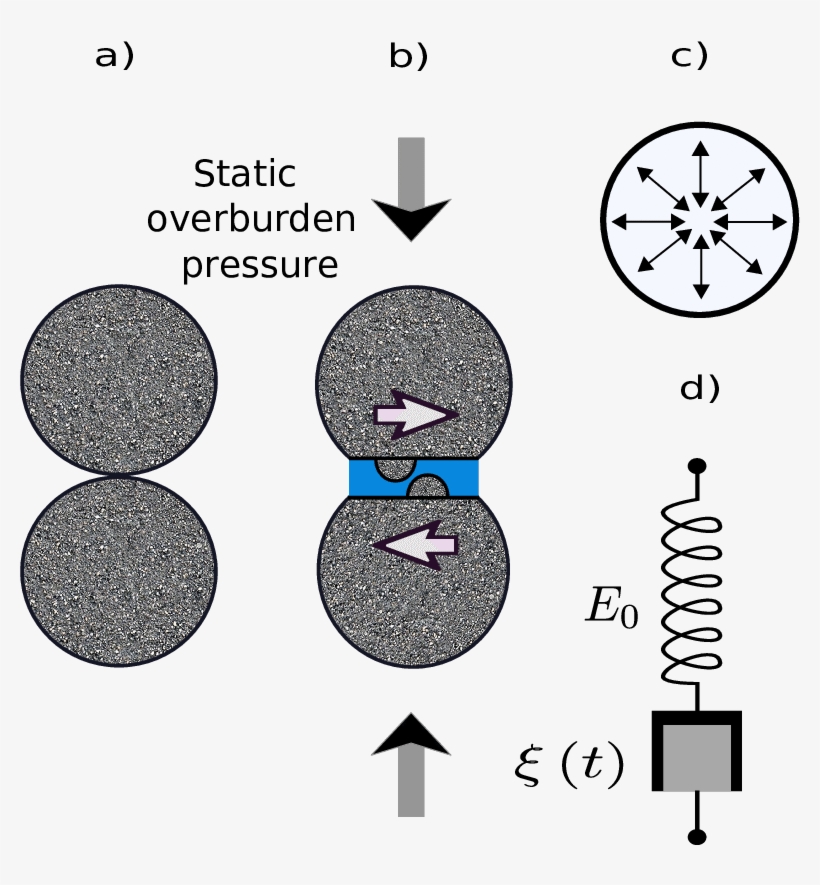 Grain To Grain Shearing Mechanism - Diagram, transparent png